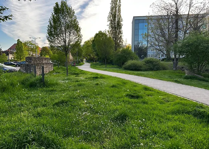 Speyerbach - Modernes Apartment Nahe Neustadter Innenstadt
