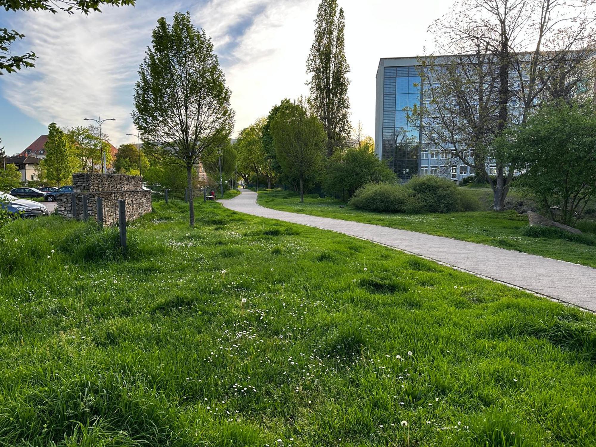 Апартаменты Speyerbach - Modernes Nahe Neustadter Innenstadt *